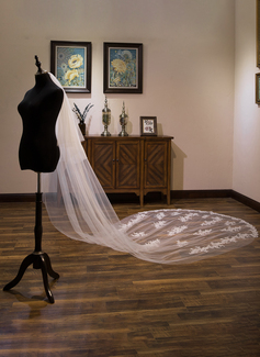 Two-tier Lace Edge Tulle Cathedral Veils Appliques CV0231 main image 1